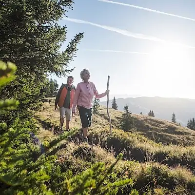 Hiking in Saalbach Hinterglemm | Zirmhof Apartments